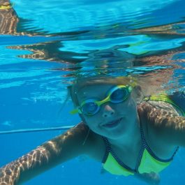 diving-1864455_640