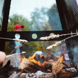 Survie en forêt - Cuisine sur le feu (7-11 ans)