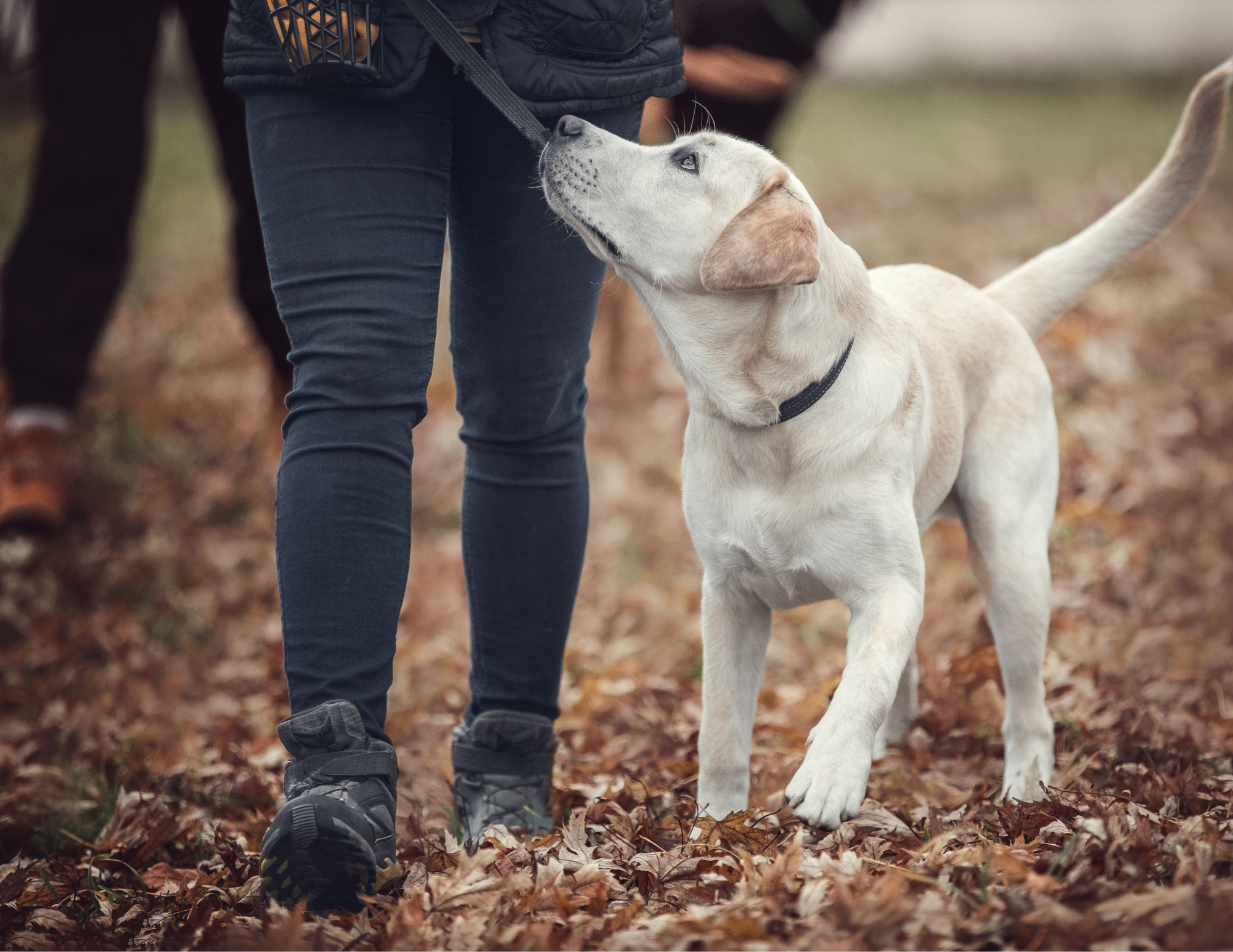 Ajouter un sous-titre (14) Ajouter un sous-titre (14)