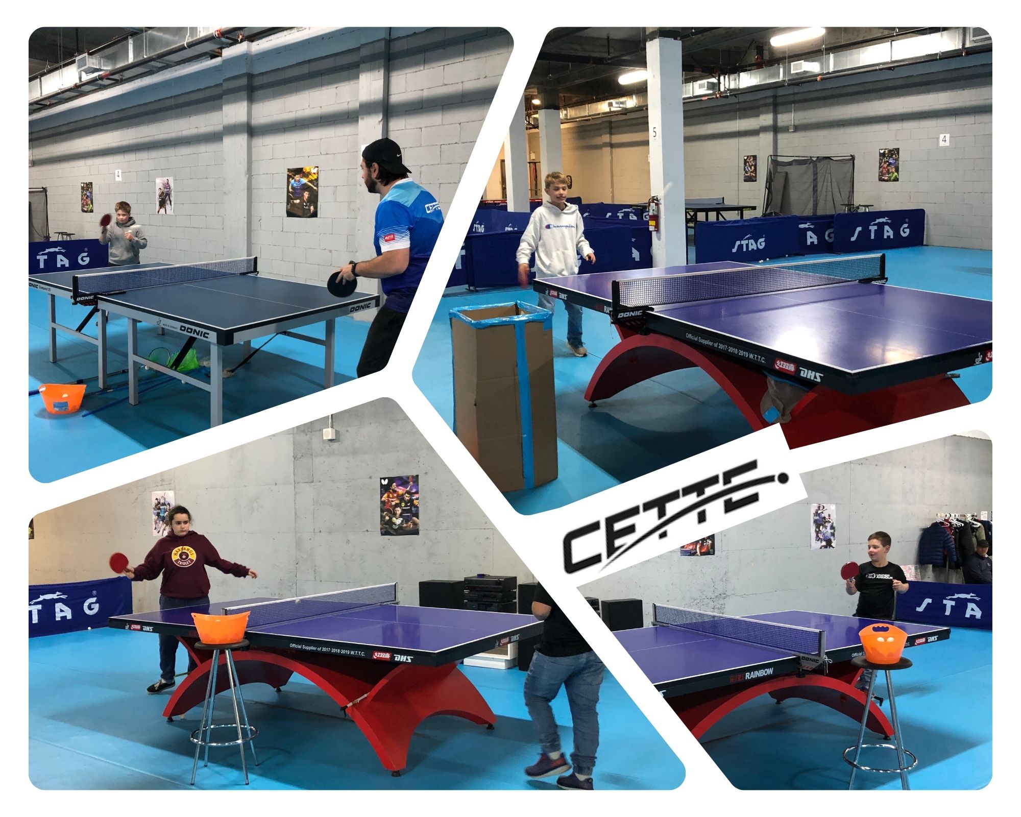 tennis de table tennis de table